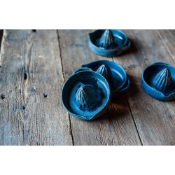 Presse agrumes bleu