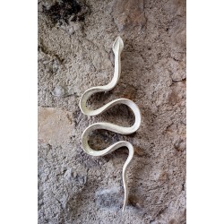 Serpent mural